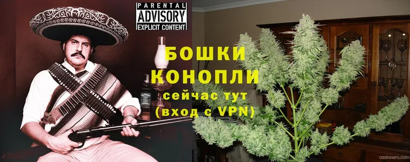 ссылка на мегу ссылки  shop формула  Конопля OG Kush  Краснознаменск 